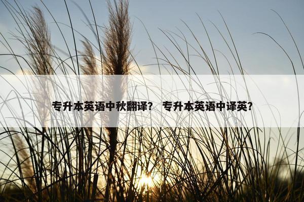 专升本英语中秋翻译？ 专升本英语中译英？