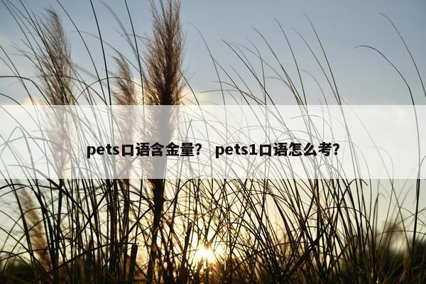 pets口语含金量？ pets1口语怎么考？