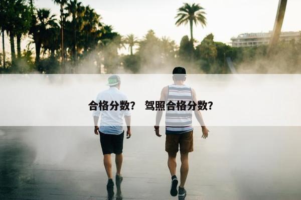 合格分数？ 驾照合格分数？