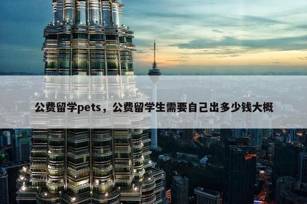 公费留学pets，公费留学生需要自己出多少钱大概