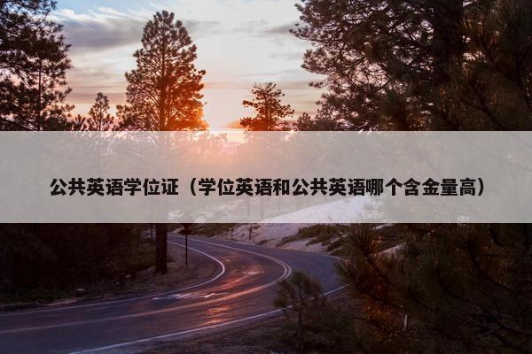 公共英语学位证（学位英语和公共英语哪个含金量高）