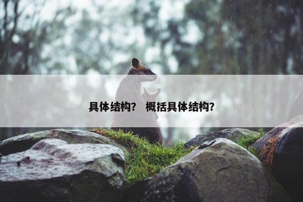 具体结构？ 概括具体结构？