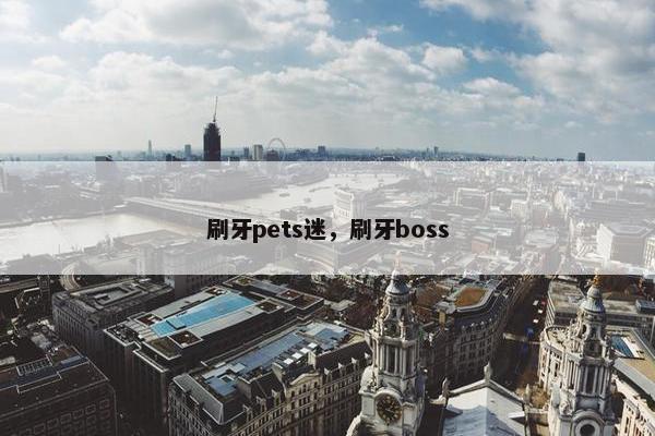 刷牙pets迷，刷牙boss