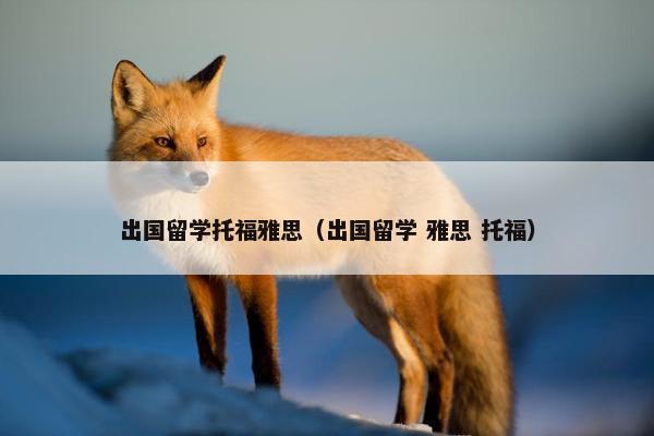 出国留学托福雅思（出国留学 雅思 托福）