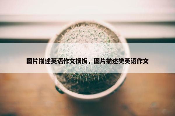 图片描述英语作文模板，图片描述类英语作文