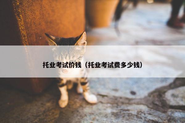 托业考试价钱（托业考试费多少钱）