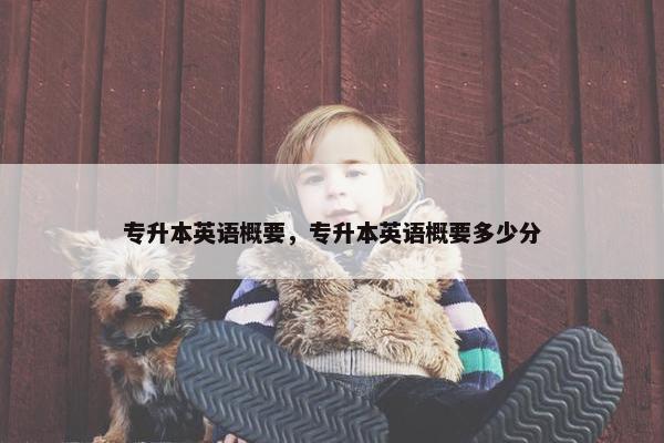 专升本英语概要，专升本英语概要多少分