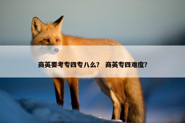 商英要考专四专八么？ 商英专四难度？