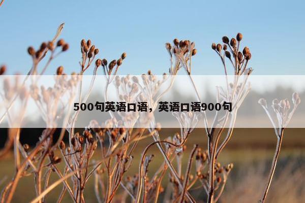 500句英语口语，英语口语900句