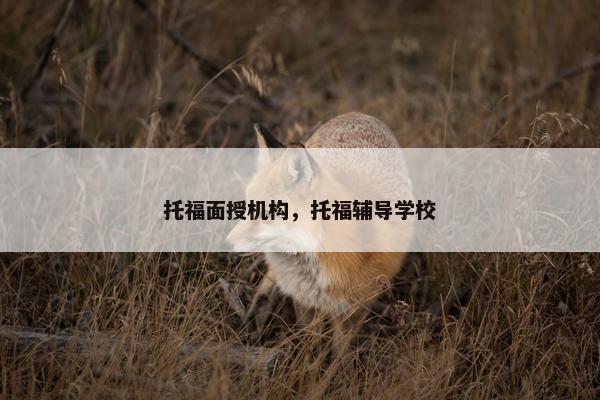 托福面授机构，托福辅导学校