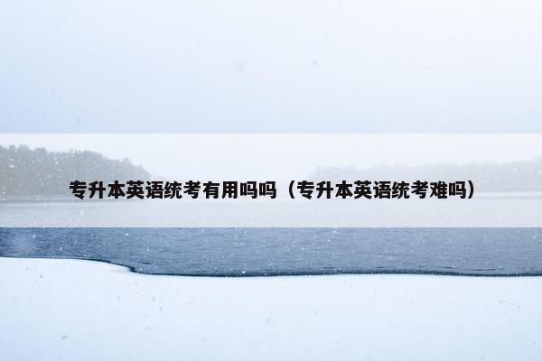 专升本英语统考有用吗吗（专升本英语统考难吗）