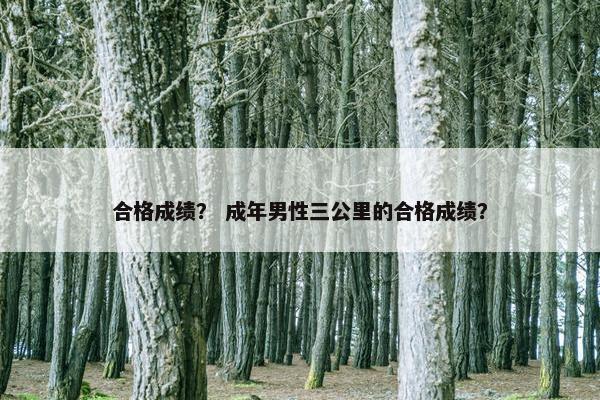 合格成绩？ 成年男性三公里的合格成绩？