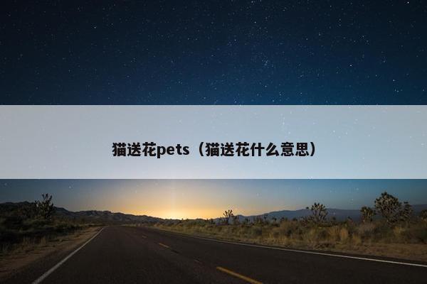 猫送花pets（猫送花什么意思）