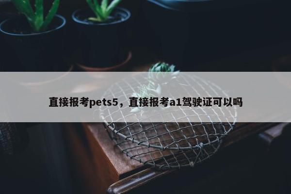 直接报考pets5，直接报考a1驾驶证可以吗
