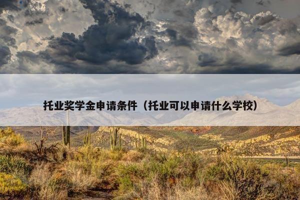 托业奖学金申请条件（托业可以申请什么学校）