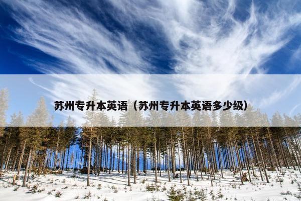 苏州专升本英语（苏州专升本英语多少级）