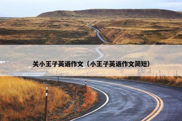 关小王子英语作文（小王子英语作文简短）