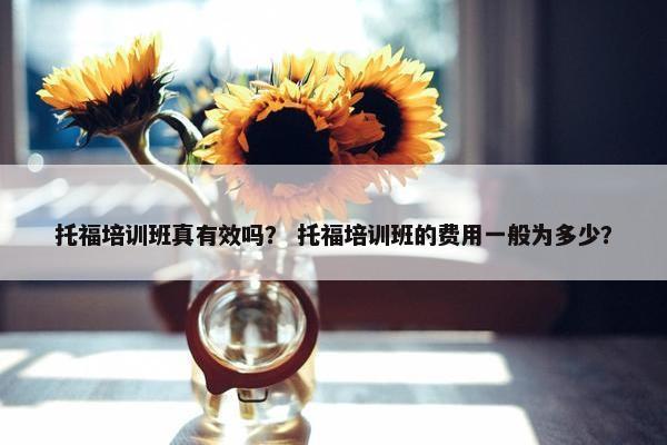托福培训班真有效吗？ 托福培训班的费用一般为多少？