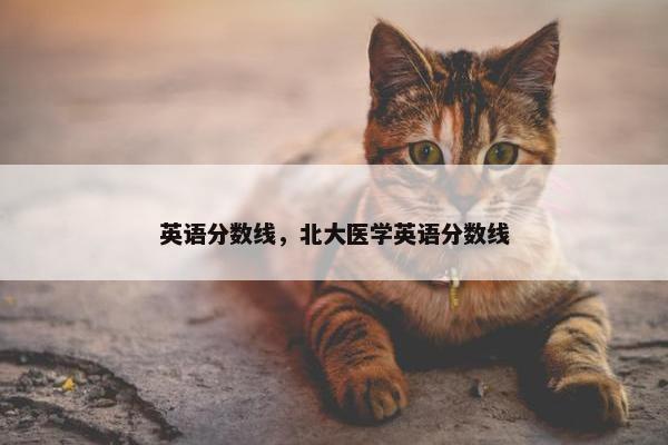 英语分数线，北大医学英语分数线