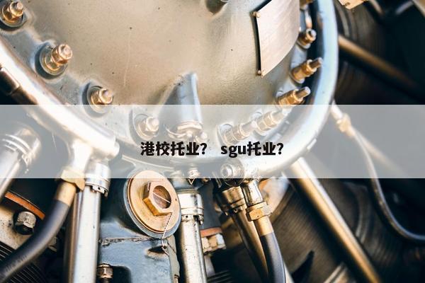 港校托业？ sgu托业？