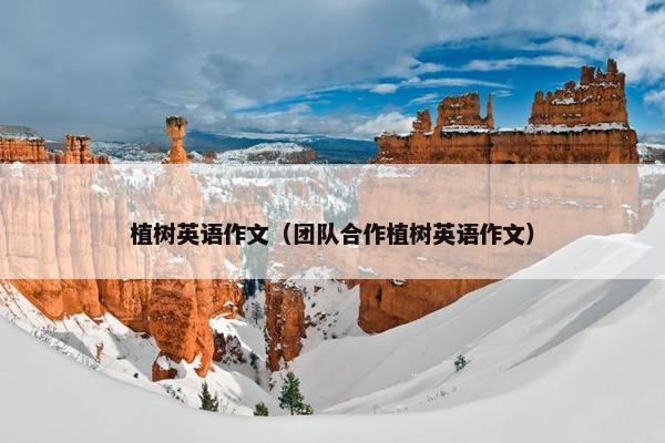 植树英语作文（团队合作植树英语作文）