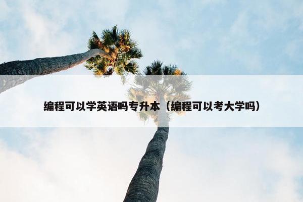 编程可以学英语吗专升本（编程可以考大学吗）