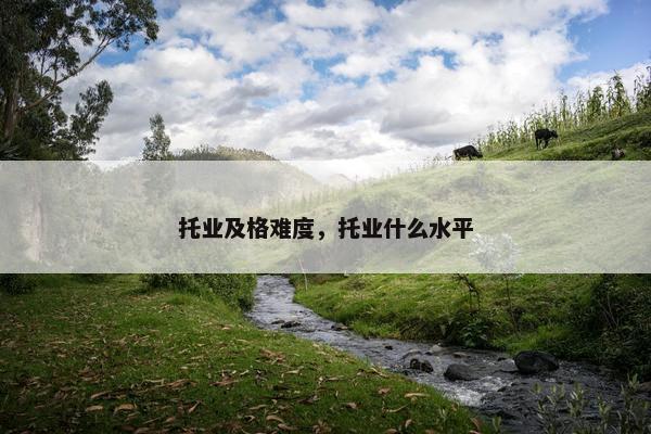 托业及格难度，托业什么水平