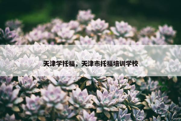 天津学托福，天津市托福培训学校
