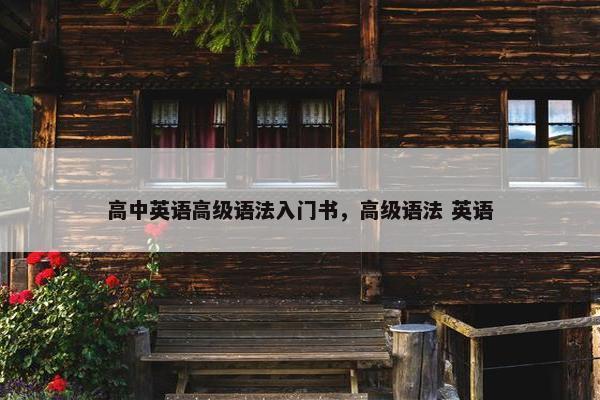 高中英语高级语法入门书，高级语法 英语