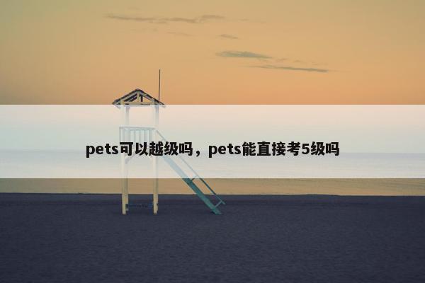 pets可以越级吗，pets能直接考5级吗