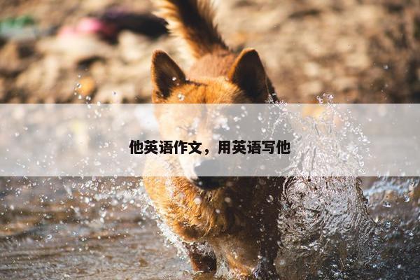 他英语作文，用英语写他