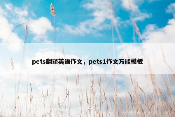 pets翻译英语作文，pets1作文万能模板