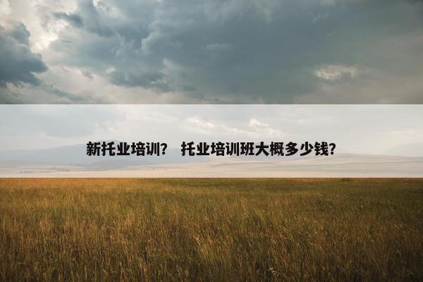 新托业培训？ 托业培训班大概多少钱？