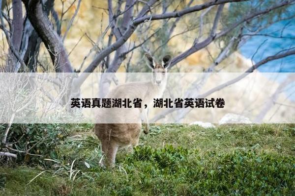 英语真题湖北省，湖北省英语试卷