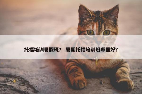 托福培训暑假班？ 暑期托福培训班哪里好？