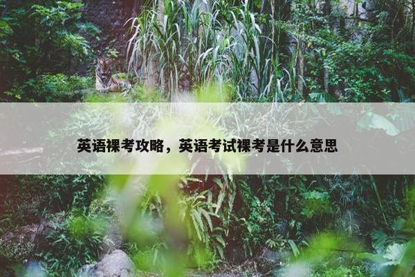 英语裸考攻略，英语考试裸考是什么意思