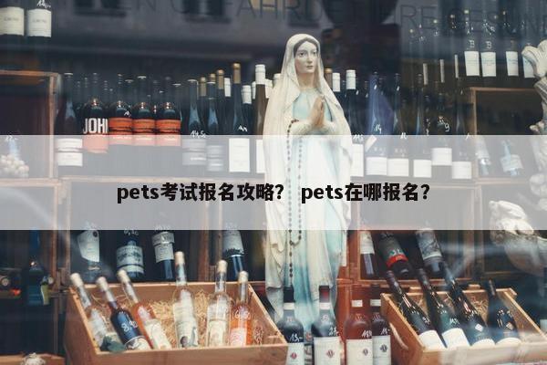 pets考试报名攻略？ pets在哪报名？