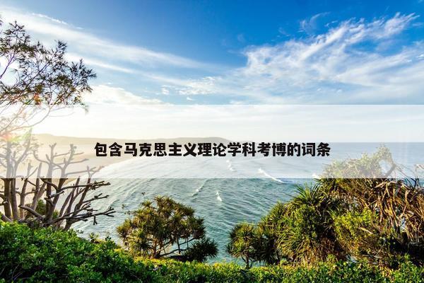 包含马克思主义理论学科考博的词条