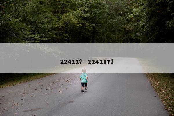 22411？ 224117？