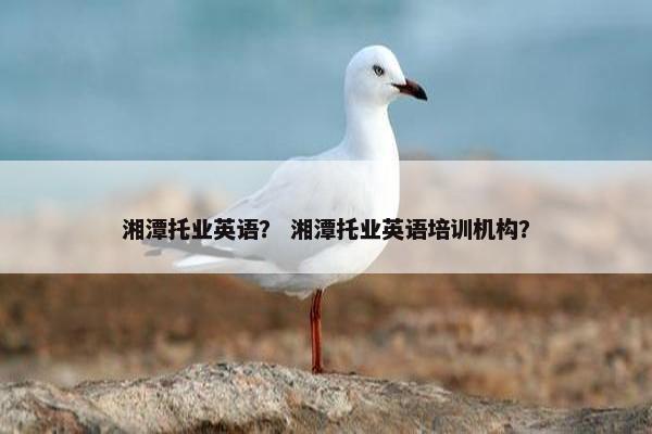 湘潭托业英语？ 湘潭托业英语培训机构？