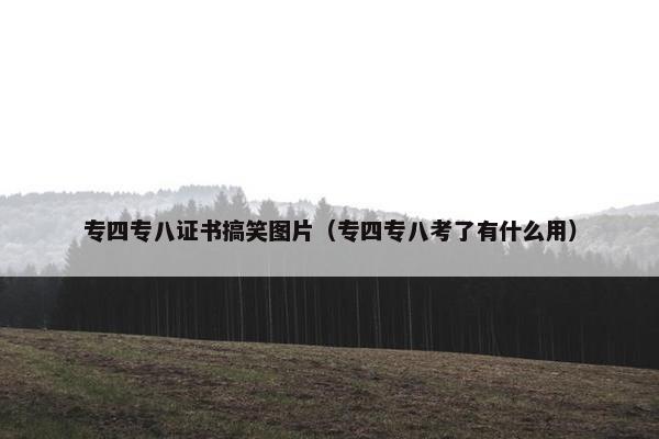 专四专八证书搞笑图片（专四专八考了有什么用）