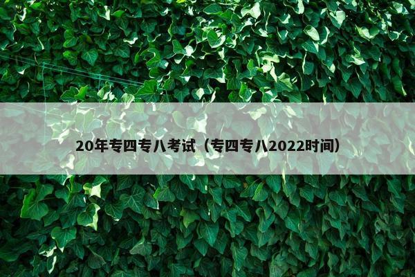 20年专四专八考试（专四专八2022时间）