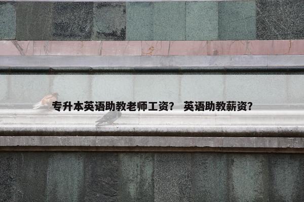 专升本英语助教老师工资？ 英语助教薪资？
