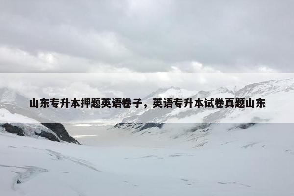 山东专升本押题英语卷子，英语专升本试卷真题山东