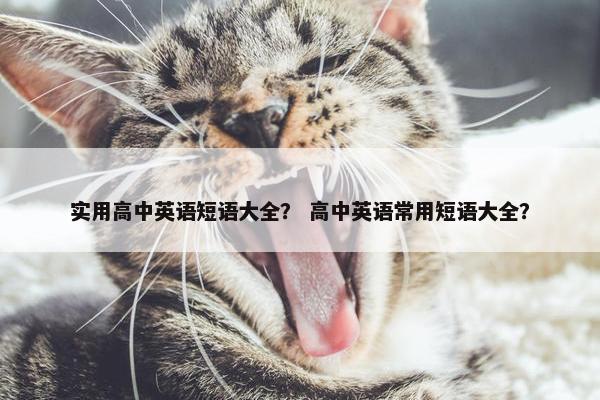 实用高中英语短语大全？ 高中英语常用短语大全？