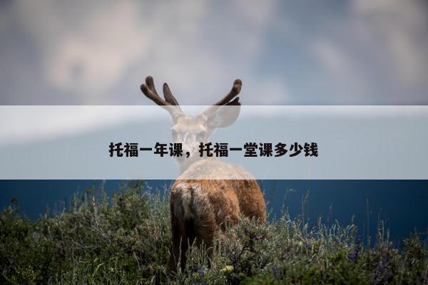 托福一年课，托福一堂课多少钱