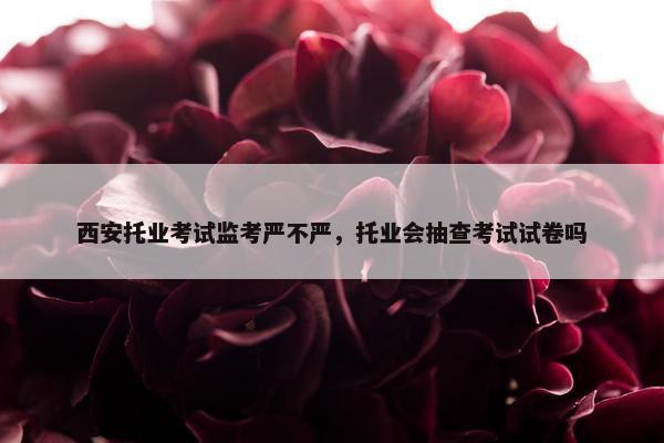 西安托业考试监考严不严，托业会抽查考试试卷吗