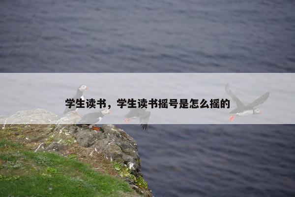 学生读书，学生读书摇号是怎么摇的