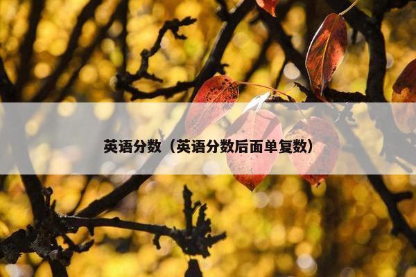 英语分数（英语分数后面单复数）