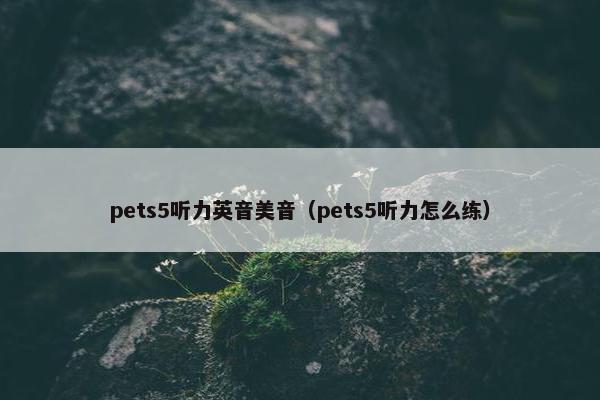 pets5听力英音美音（pets5听力怎么练）